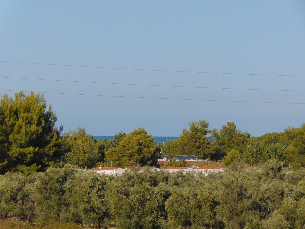 Villa Antonio Calderisi Vieste Kültér fotó